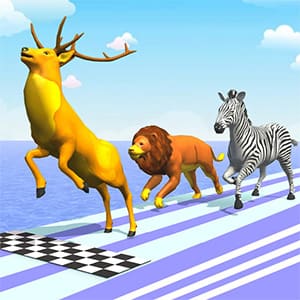 動物レース