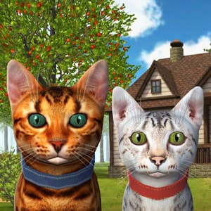 Simulateur de chat en ligne