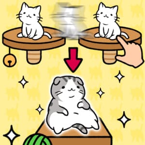 猫咪公寓
